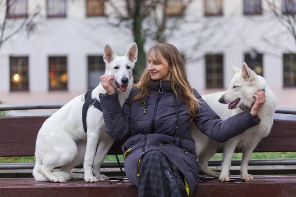 Kobieta Siedzi Ławce Parku Miejskim Dwoma Białymi Pasterzami Szwajcarskimi Przytula — Zdjęcie stockowe