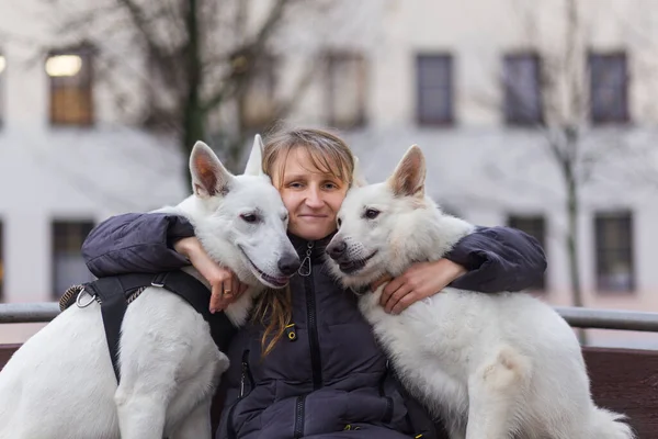 Kobieta Siedzi Ławce Parku Miejskim Dwoma Białymi Pasterzami Szwajcarskimi Przytula — Zdjęcie stockowe