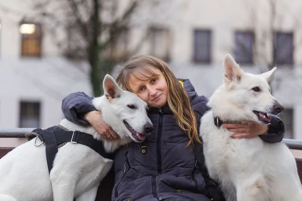 Kobieta Siedzi Ławce Parku Miejskim Dwoma Białymi Pasterzami Szwajcarskimi Przytula — Zdjęcie stockowe