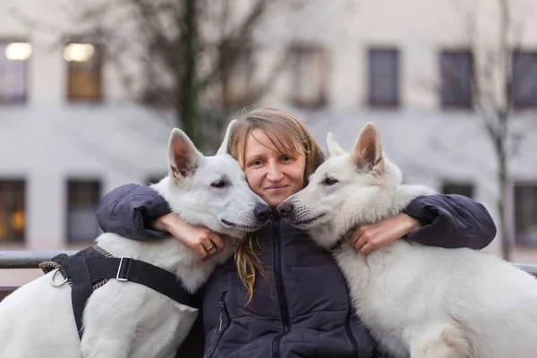 2人の白いスイスの羊飼いと一緒に街の公園のベンチに座って抱きしめる女性 — ストック写真