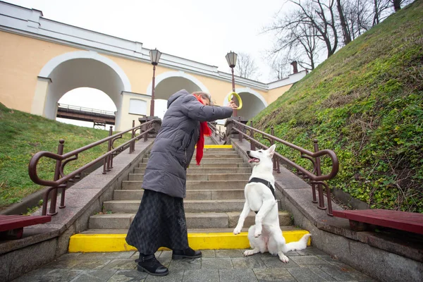 女性は彼女のかわいい犬を訓練しています市内公園の階段で屋外の白いスイスの羊飼い — ストック写真