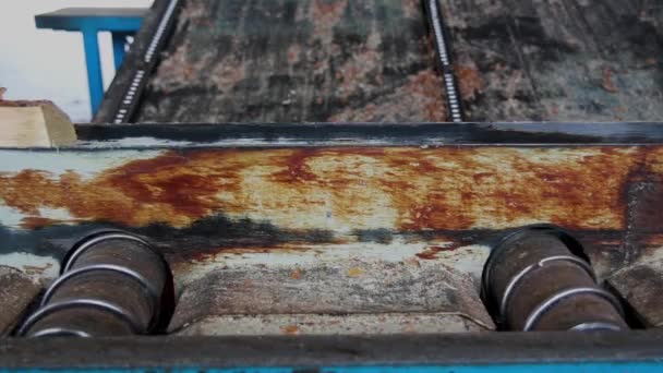 Μηχανήματα πριονίσματος σε εργοστάσιο παραγωγής ξύλου. — Αρχείο Βίντεο