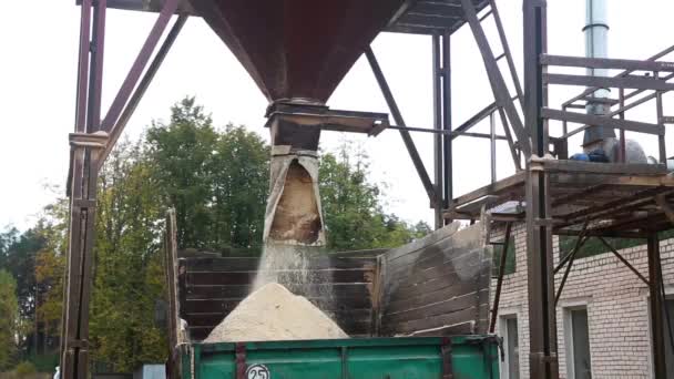 Ramos de madeira aparas serragem chips derramar desmoronar em reboque. — Vídeo de Stock