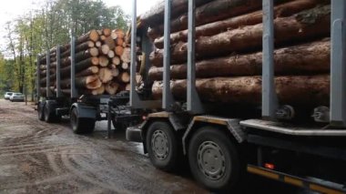 Kesik ağaçlı taşıyıcı kamyon kereste fabrikasına ulaştı..