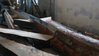 Tahta üretim fabrikasında testere makinesi..