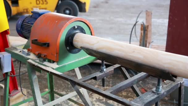 Production of round logs at the sawmill. — Stock Video