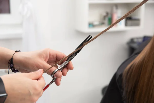 Uzman Saç Stilisti Elinde Tarak Sıcak Termal Makas Ile Uzun — Stok fotoğraf