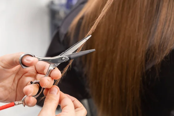 Professionele Haar Stylist Houden Kam Hete Thermische Schaar Knippen Tips — Stockfoto