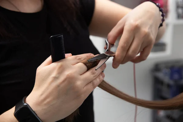 Professional Hair Stylist Holding Comb Hot Thermal Scissors Cutting Tips — Stock Photo, Image