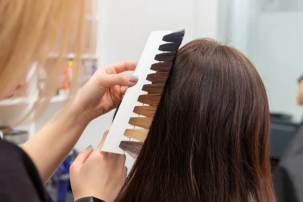 Cabeleireiro Seleciona Cor Tinta Usando Uma Paleta Cores Cabelo Enquanto — Fotografia de Stock