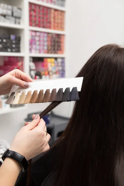 Coiffeur Sélectionne Couleur Peinture Utilisant Une Palette Couleurs Cheveux Tout — Photo