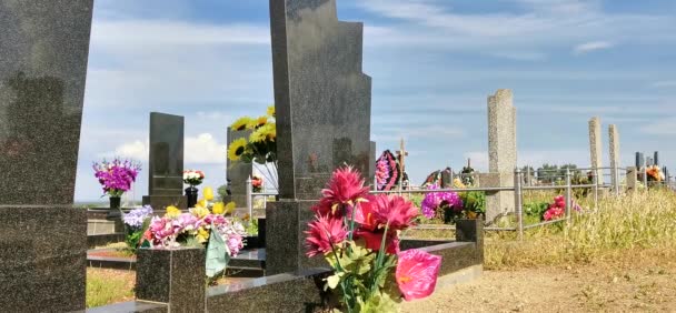 Día pacífico de verano en el cementerio ortodoxo. Clip De Vídeo