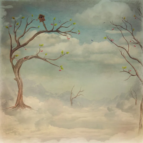 Зеленые деревья и облака фон неба — стоковое фото