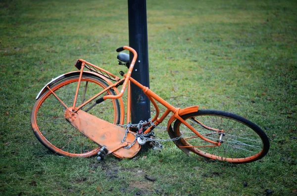 Orange vélo rétro — Photo