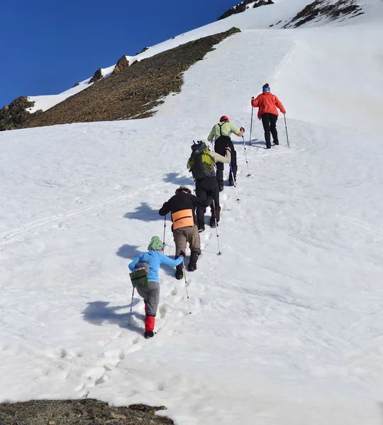 ? ommand av i snö öknen — Stockfoto