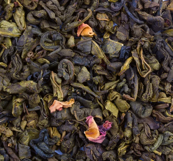 Texture feuilles de thé vert — Photo