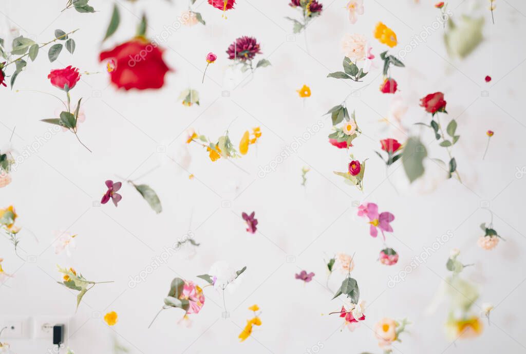 Floral pattern on white background levitating flowers 