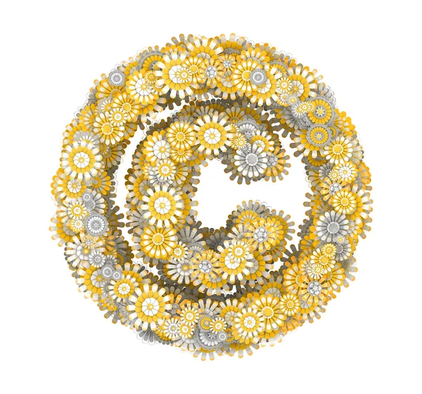 Copyright de flores de camomila — Fotografia de Stock