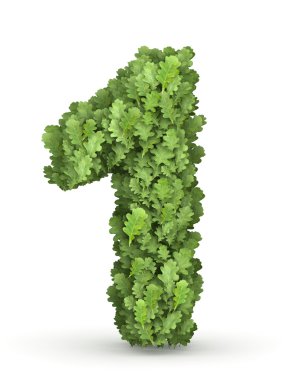 yeşil yaprakları 1 numaralı