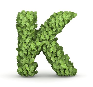 yeşil yaprakları harf k