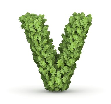 yeşil yaprakları gelen harf v