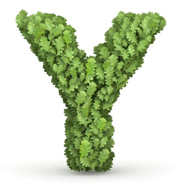 yeşil yaprakları harf y