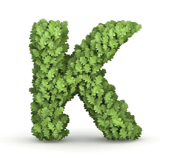Bokstaven k från gröna blad — Stockfoto