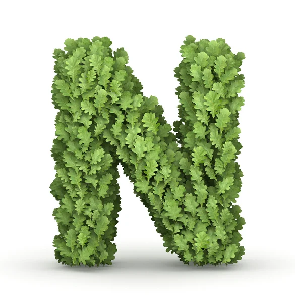 Буква N из зеленых листьев — стоковое фото