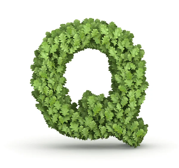 Letter Q from green leaves — Stock Photo, Image