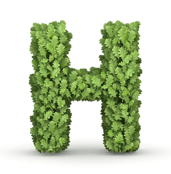 Letter H from green leaves — Stock Photo, Image