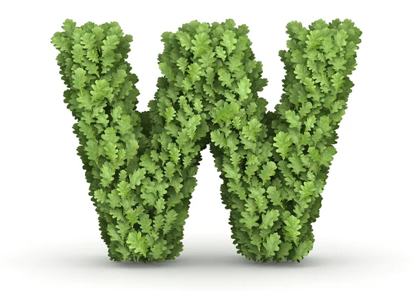 Letter W from green leaves — Stock Photo, Image