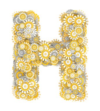 papatya çiçekleri gelen mektup