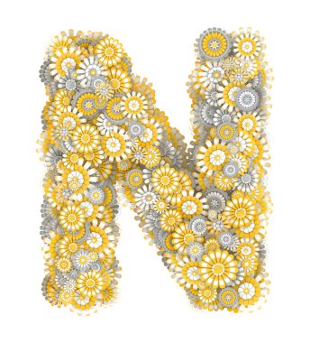 papatya çiçekleri gelen mektup