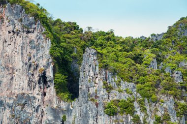 tropik deniz ada kayalar
