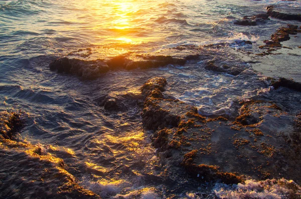 Costa rocosa del mar al atardecer —  Fotos de Stock