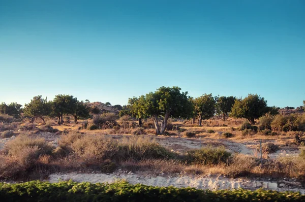 Cyprianus wild rotsachtige landschap — Stockfoto
