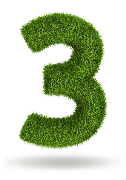 Natural grass number 3