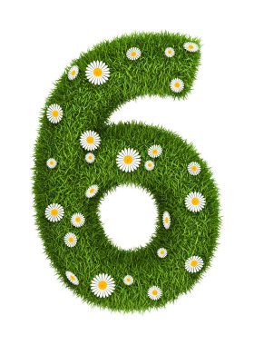 doğal çim numarası 6