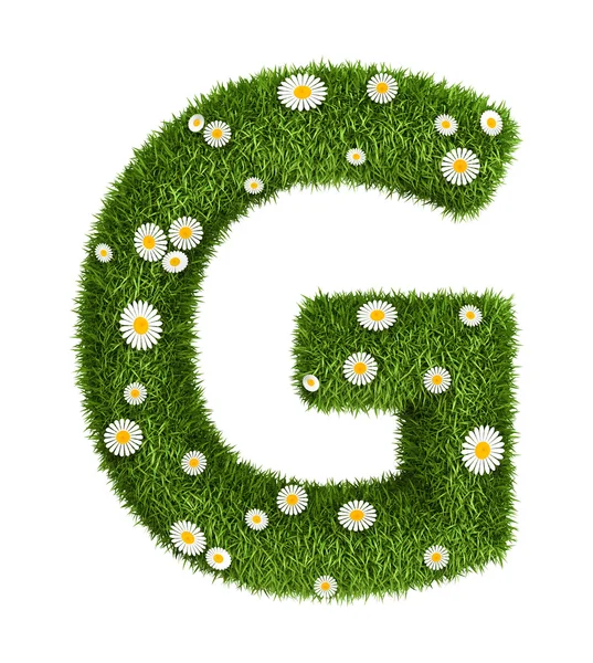 Naturligt gräs bokstaven g — Stockfoto