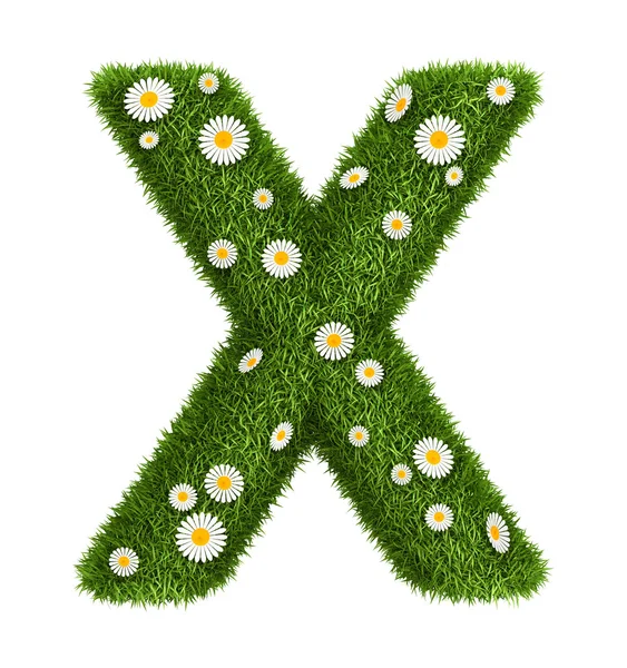 Naturligt gräs bokstaven x — Stockfoto