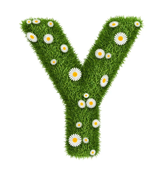 Natural grass letter Y — Stock Photo, Image