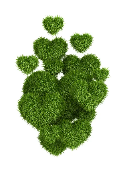 Yeşil çim Kalpler — Stok fotoğraf