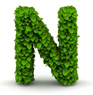 yaprakları yazı harf n