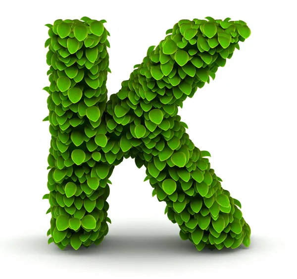 Leaves font letter K — Stock Photo, Image