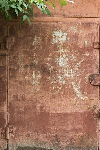 Rusted metal with leaves — Stock Photo, Image