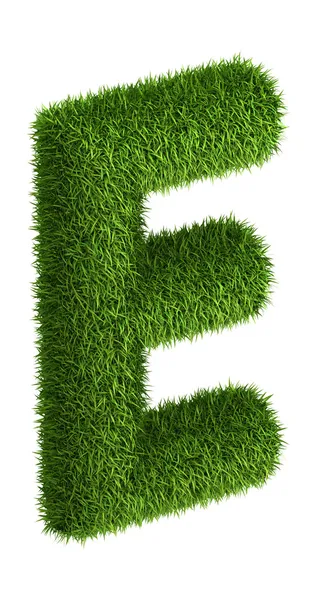 Natural grass letter E — Stock Photo, Image