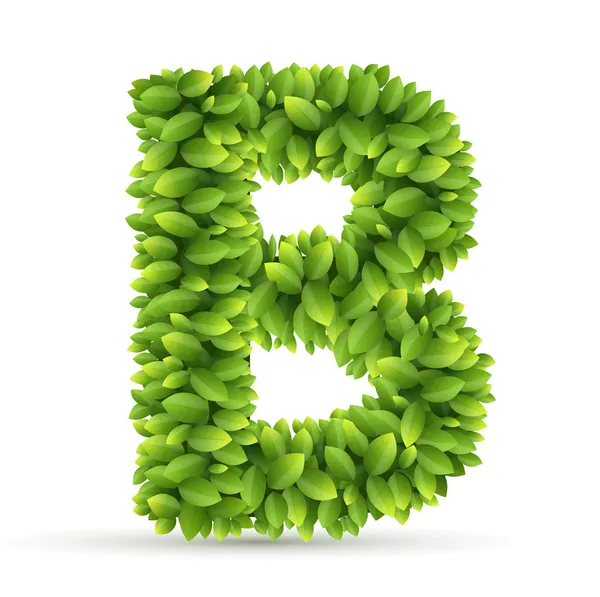 Letter  B,  vector alphabet of green leaves — Stock Vector