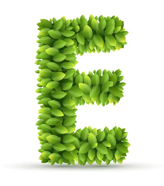 Letter E,  vector alphabet of green leaves — Stock Vector