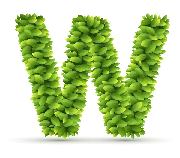 Mektup w, vektör alfabe yeşil yaprakları — Stok Vektör