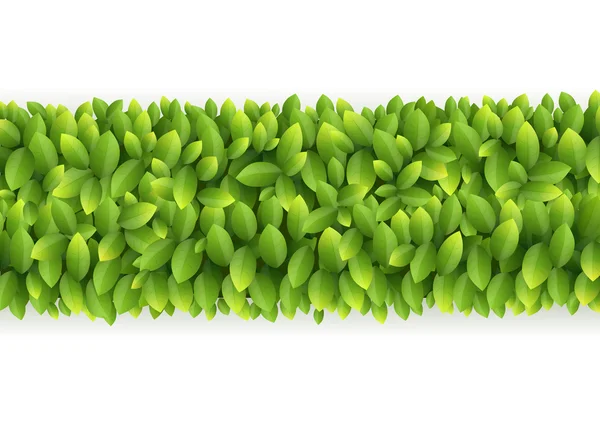 Ligne de feuilles vertes fraîches — Image vectorielle